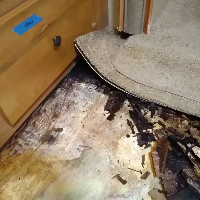 Wood Floor Water Damage in North Pole, AK